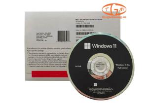 FQC-10528 - Microsoft Windows Pro 11 64Bit Eng Intl 1pk DSP OEI DVD