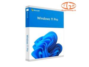 FQC-10572 - Windows 11 Pro Online DwnLd NR 