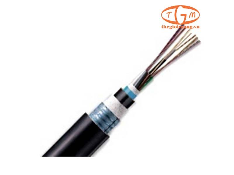 LT-DJBGSEX/BRN MX8XXX(06T2.00)