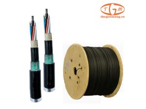 Cáp quang LS Singlemode 16-core Armor (LT-DJBGSEX/BRN SE16XX(06T2.00)) 