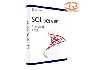 Microsoft SQL Server 2022 Standard Edition