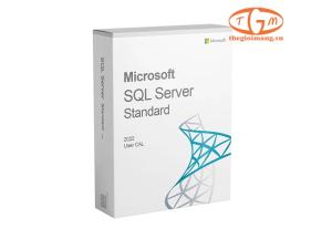 Microsoft SQL Server 2022 -1 User CAL