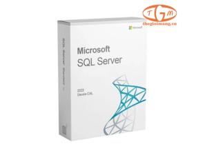 Microsoft SQL Server 2022 -1 Device CAL