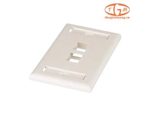 Mặt ổ cắm mạng Panduit 2 cổng (NK2FIWY)