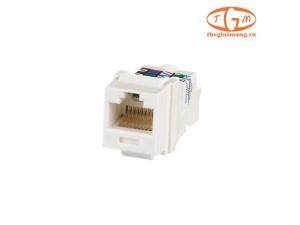 Nhân mạng Panduit cat6 Unshielded TP style White (NK6TMIW)